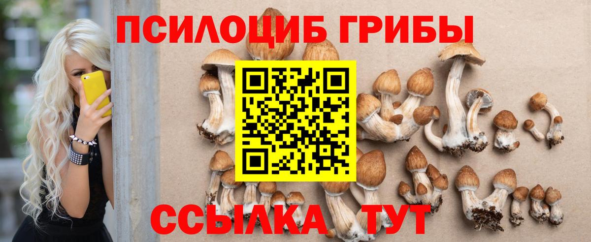 наркота  Вход с VPN  Псилоцибиновые грибы Magic Shrooms  Королёв  Галлюциногенные грибы прущие грибы 
